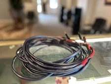 Wireworld Luna 16/4 15 FT Audible Elegance Cincinnati