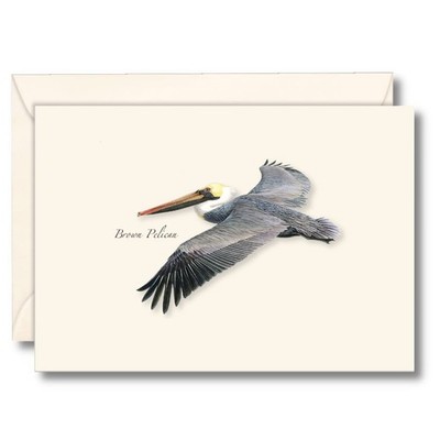 Brown Pelican In Flight Notecard Set 8 Blank Cards Envelopes Stationery
