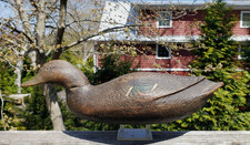 CA 1940-50 BLACK DUCK DECOY HEN DOWNEAST DECOY FACTORY FREEPORT MAINE ALL O.P.