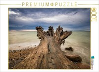Calvendo Puzzle Tree Trunk On The Baltic Sea Coast | 1000 Pieces, Finished Size