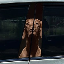 2pcs Dackel Dalmatiner Hund Auto Zentrum B S&auml;ule Schutzaufkleber