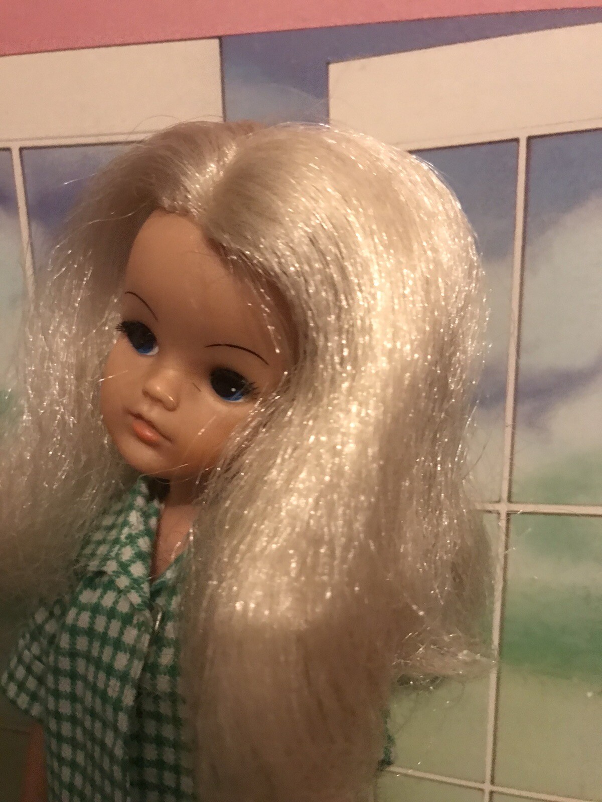 Vintage Sindy Doll eBay