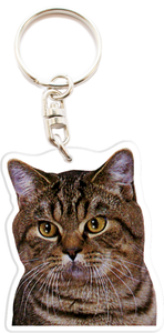 Chat Gouttiere Tigre Porte Cles Personnalise Photo Prenom Texte Idee Cadeau R32a Ebay
