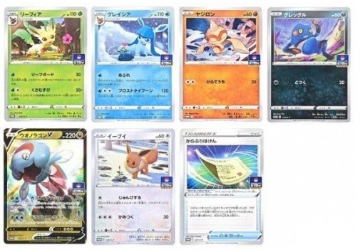 Pokemon Gym / Event Organizer Trainers Pack staff pack Wave 7
