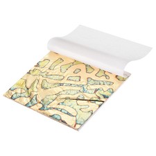10 Sheet Gold Leaf Sheet, 5.5"x5.5" Booklet Paper,Black Ancient Spots