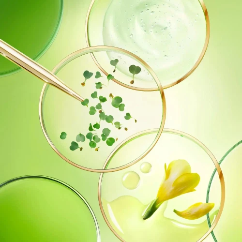 Crema antienvejecimiento ultra rica Nuxe Nuxuriance 50 ml Foto 4 de 4