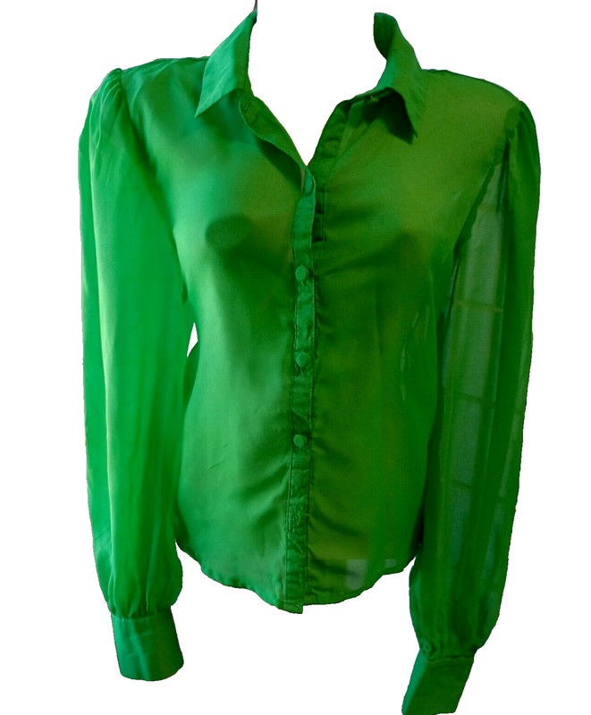 XTAREN green button down blouse- size L