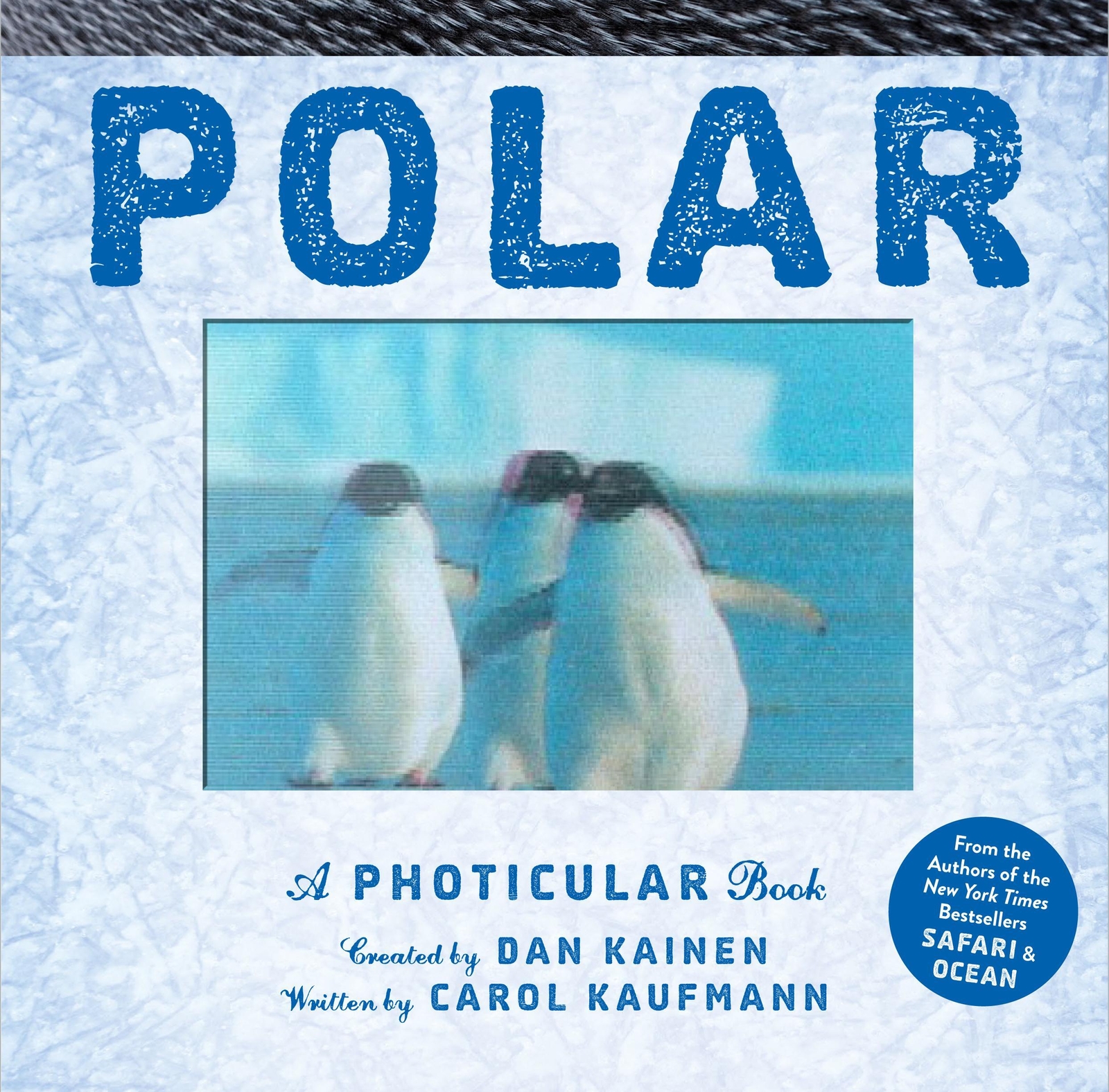Thumbnail - Polar | A Photicular Book About The Ends Of The Earth | Dan Kainen (u.