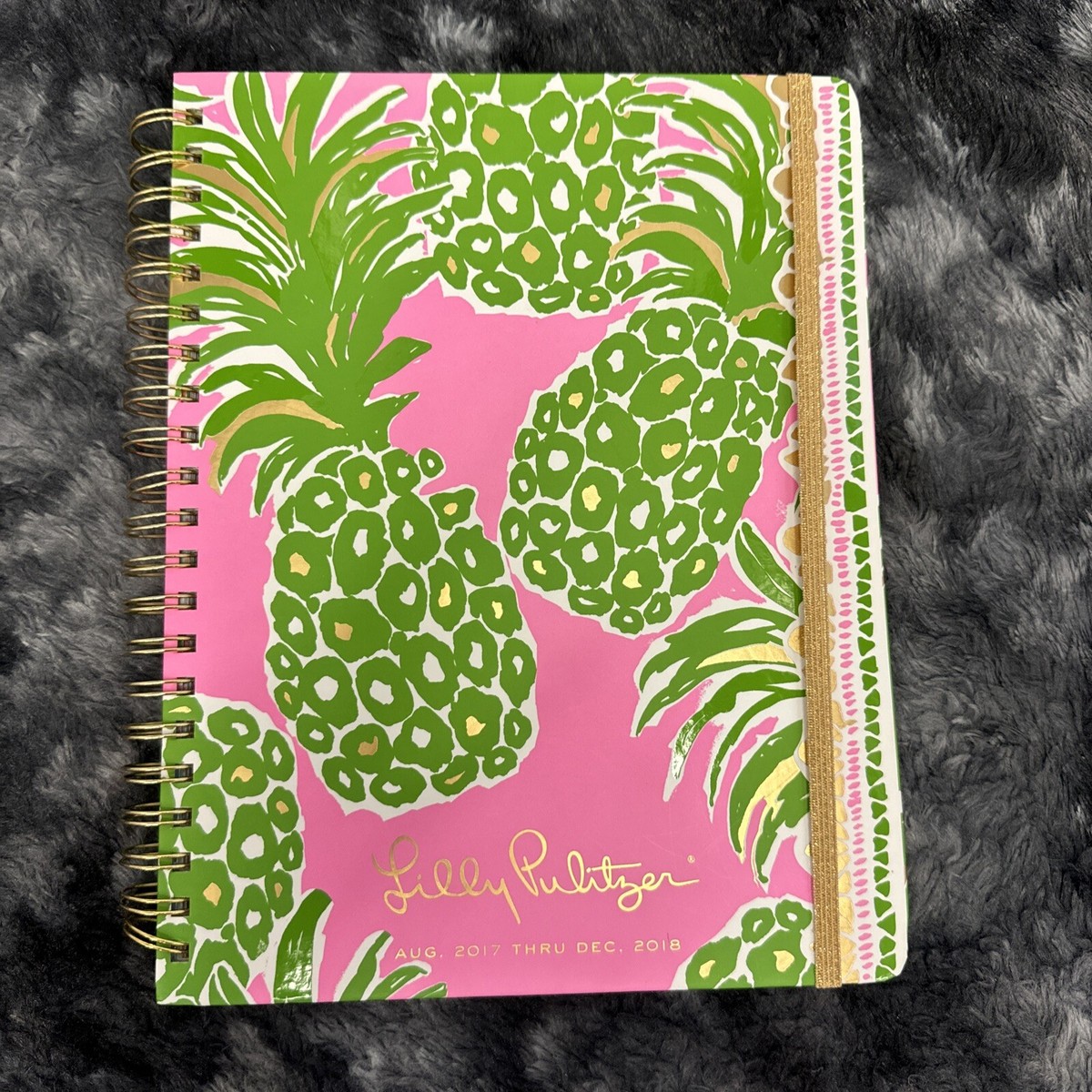 17 Month Jumbo 2016 Agenda in Red Right Turn by Lilly Pulitzer main image 1