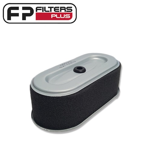 Filtro Aria Adattabile Motore Rasaerba ROBIN EY25 EY27 40D 207-32606-18 - Foto 9