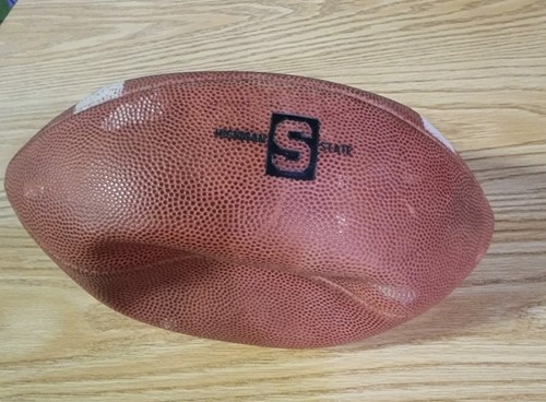 Wisconsin Badgers Practice Ball Wilson NCAA Football -BR2