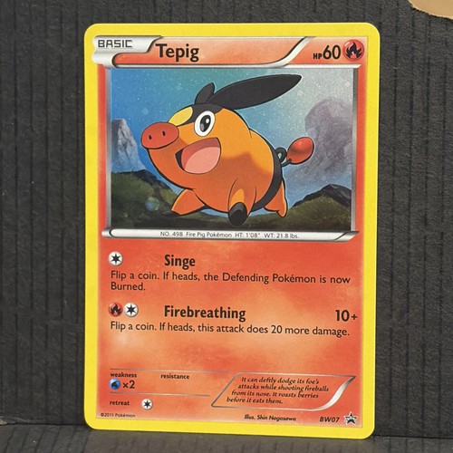 Pokémon TCG Tepig Card BW07 Black Star Promo Holo VLP