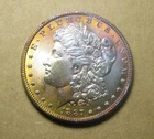 1887  Morgan Silver Dollar Rare Rainbow Toning ** BEAUTIFUL COIN ** FREE SHIP