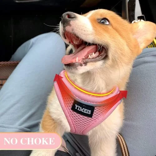 Dog Harness and Leash Set, No Pull Soft Mesh X-Small (Pack of 1) Pink-Update