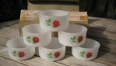 ARCOPAL 6 Opal Ramequins Blumendekor Vintage