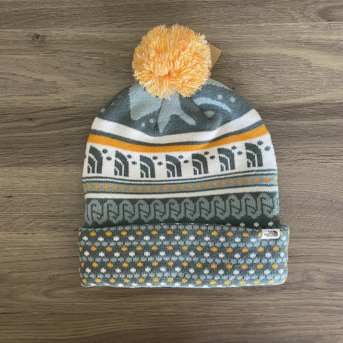 NWT The North Face Ski Tuke Beanie 