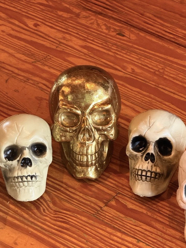 Halloween 5-piece Skeleton Skull Prop Set Spooky Graveyard Outdoor ...