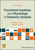Functional Anatomy and Physiology Of Domestic Animals | Eric W. Rowe (U. A.)