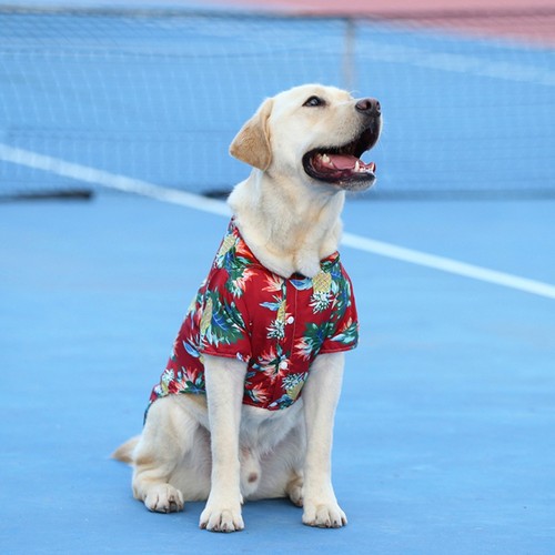 Hawaii-Stil Hund Hawaii Hemden Komfortabel Hemd für Hunde Haustier-Shirt Hunde - Picture 8 of 8