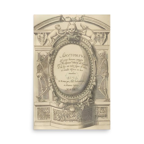 Antique Human Anatomy Print – Vintage Medical Illustration, Anatomy ...