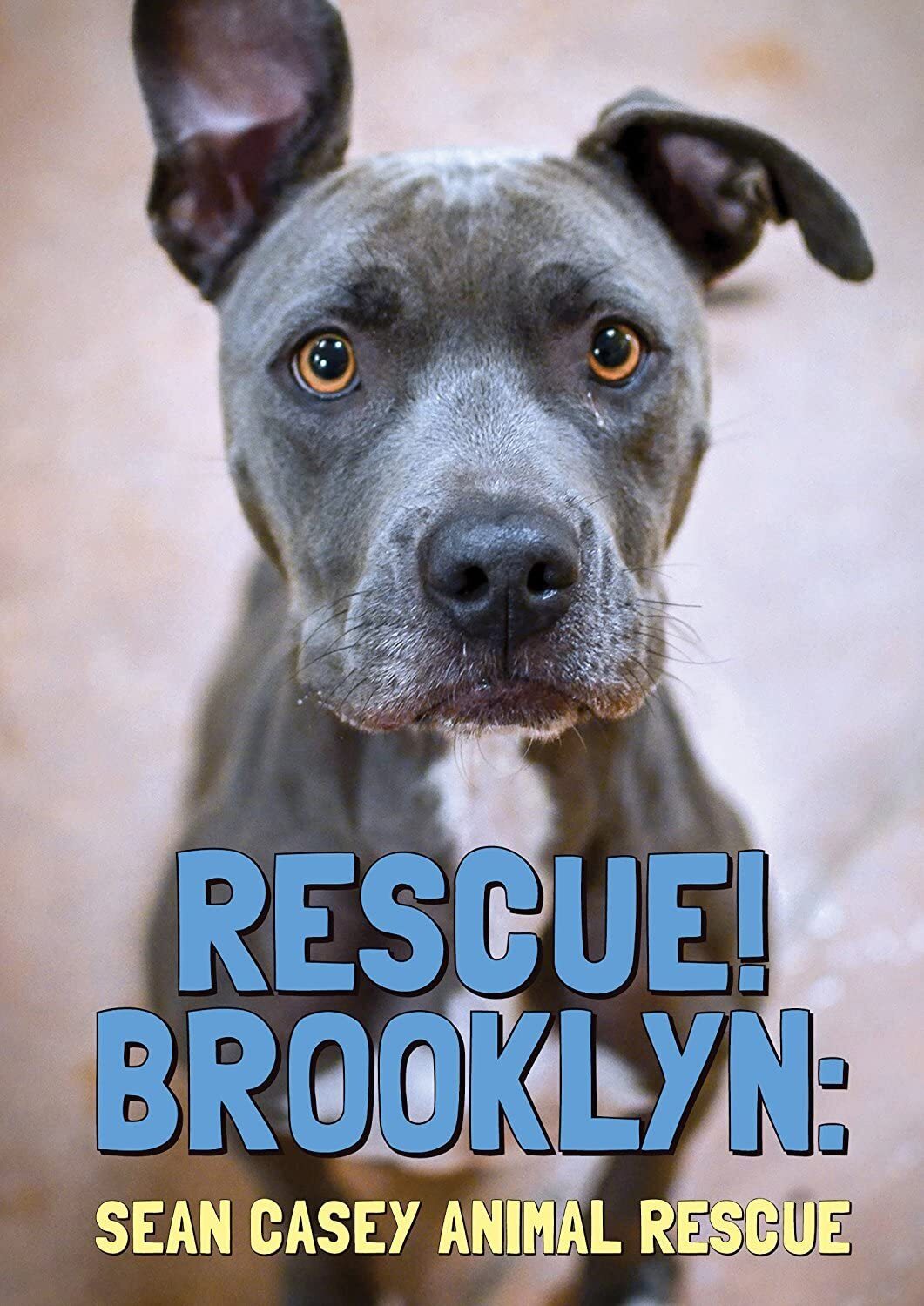 Rescue! Brooklyn (DVD) Various