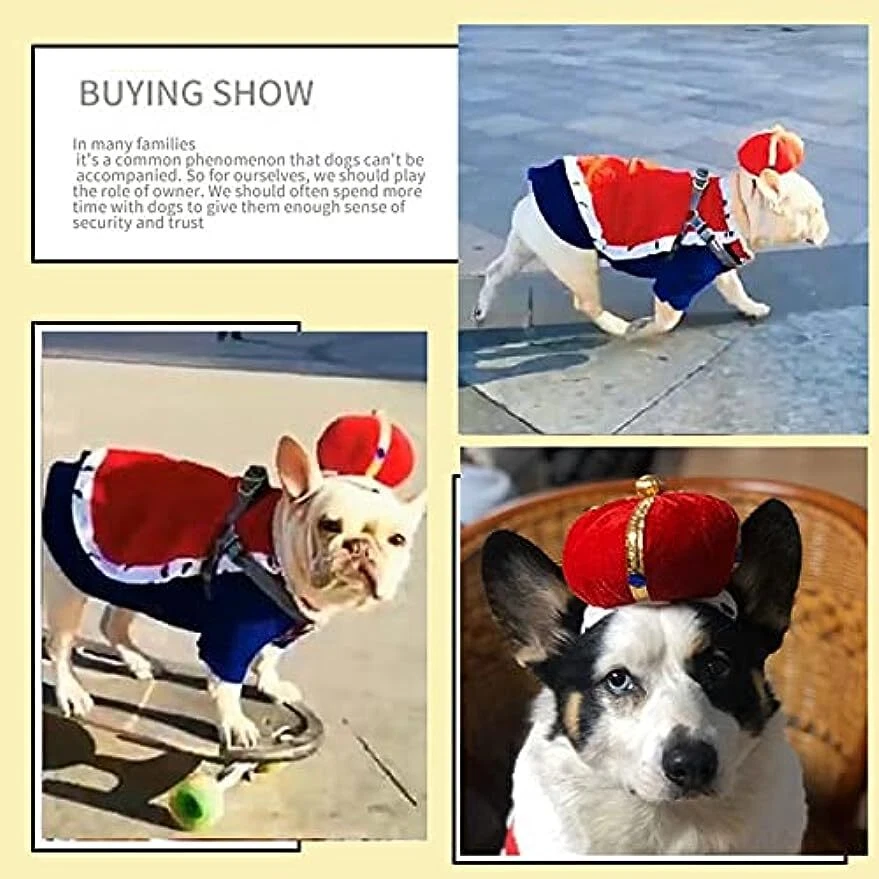 宠物狗万圣节国王服装斗篷带皇冠帽子狗滑稽连衣裙 — 第 4/4 张图片