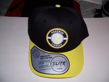 NEW Pokemon Pikachu Yellow Black BIOWORLD Series Elite Flex Patch Cap Hat Rare
