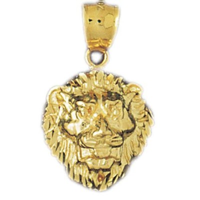 Löwenkopf Charm Anhänger 14k Gold