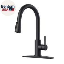 Gooseneck Single Handle Pull down Sprayer Kitchen Faucet with Deckplate and Flex