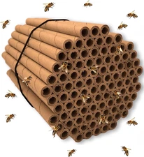 Mason Bee Tubes | 100 Pack of 6 Inch Long by 5/16 Inner Diameter Hole Cardboard