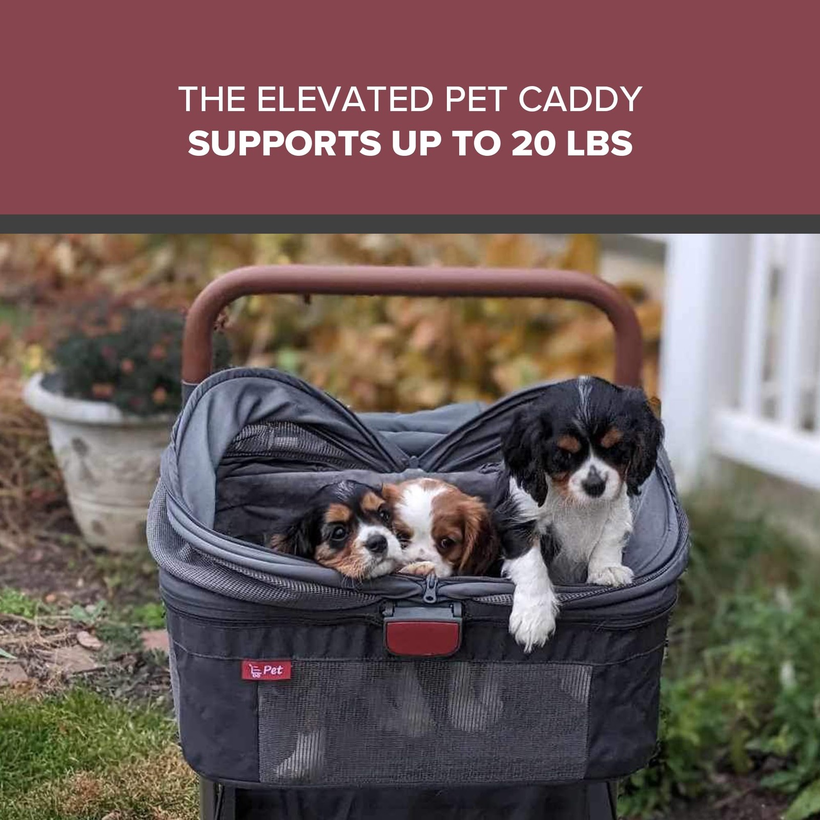 Wadabuggy Foldable Pet Caddy - Collapsible, Attachable & Removable Pet Carrier