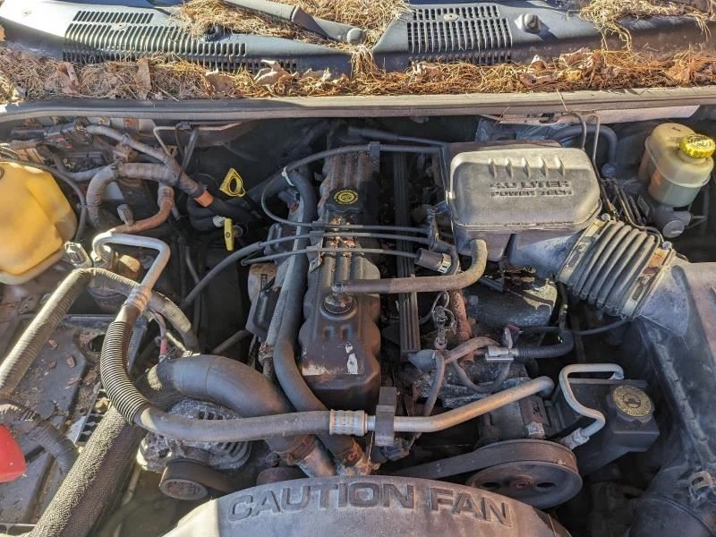 Seat Belt Front Bucket Seat Passenger Fits 00-04 GRAND CHEROKEE 169951 Foto 4 de 4