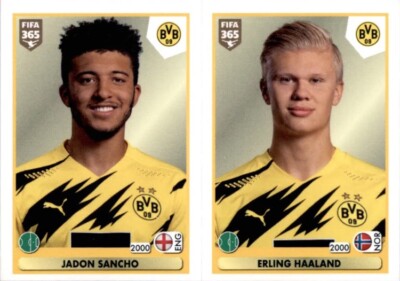 Rookie Sticker Erling Haaland Jadon Sancho Bvb 181a/181b Sticker Panini 365