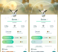Shiny Eevee Flower Crown - TRADE - Registered require - Read Description