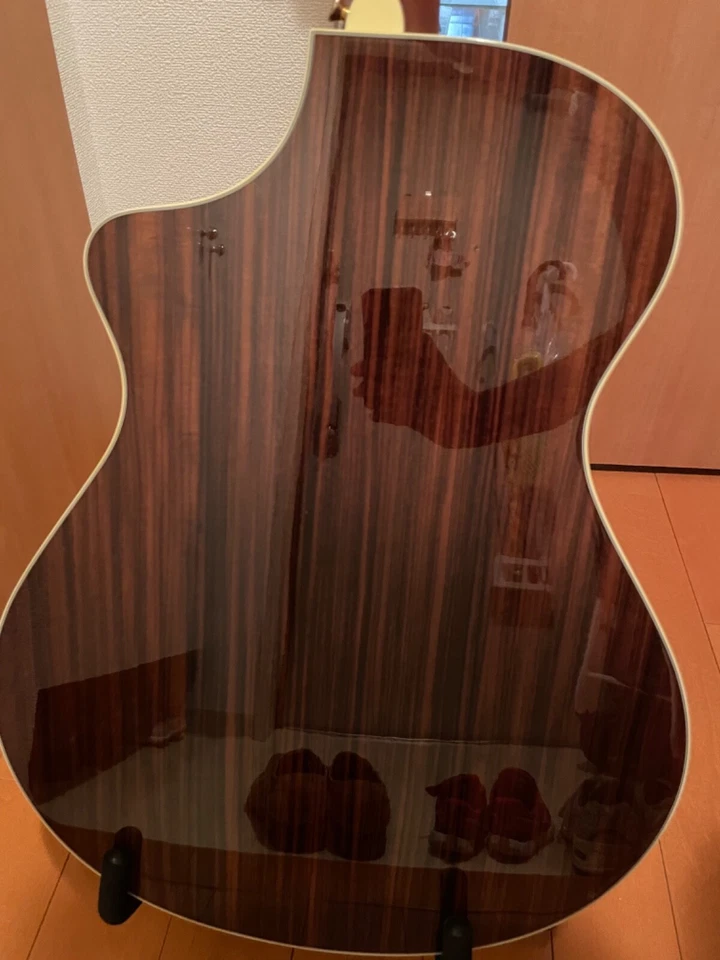 Breedlove focus se edición especial Foto 2 de 4