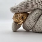 Foto 17 di 17