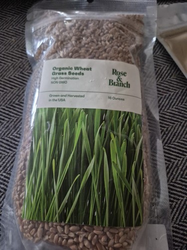 Organic Wheat Grass Seeds 1 Pound