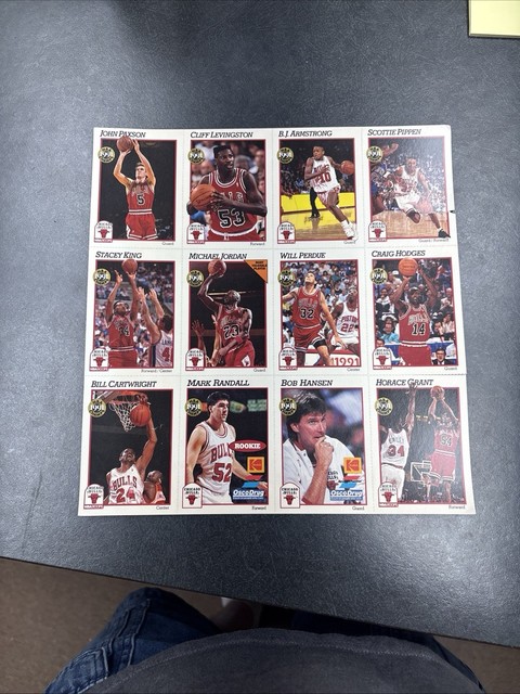 1991-1992 NBA Hoops Chicago Bulls Osco Drug Uncut Sheet 💎 Michael Jordan Promo