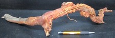 manzanita burl wood  E44 19 1/4 L x 2 1/2 W x 6 at the tallest point