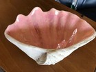 Ceramic Shell Bowl Hand made and signed by artist — photo 2
