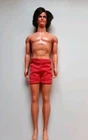 Mattel Barbie Ken Mod Hair Doll