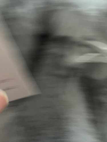 Neu mit Etikett Lauren Conrad LC X Band Kunstfell-Pantoletten Hausschuhe grau Größe XL 9/10 kuschelig - Bild 4 von 6
