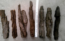 7pcs Cottonwood Bark For Wood Carving Artist Great ForFigurines 15-17" LONG- 2