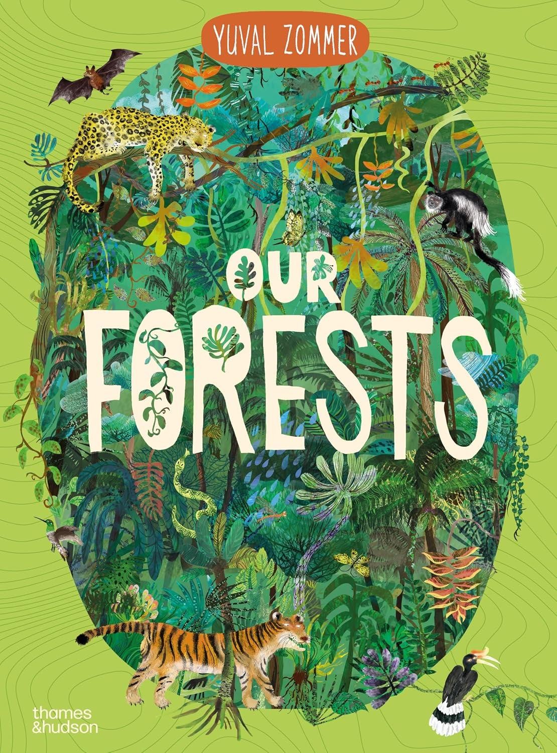 Our Forests (Our Wonders series) - Image 5