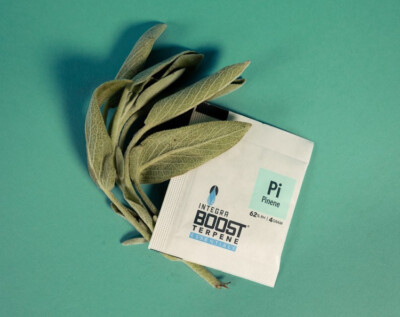 Integra Boost Terpene Essentials Pinene 4G 62% - Feuchtigkeitsregler für Growbox