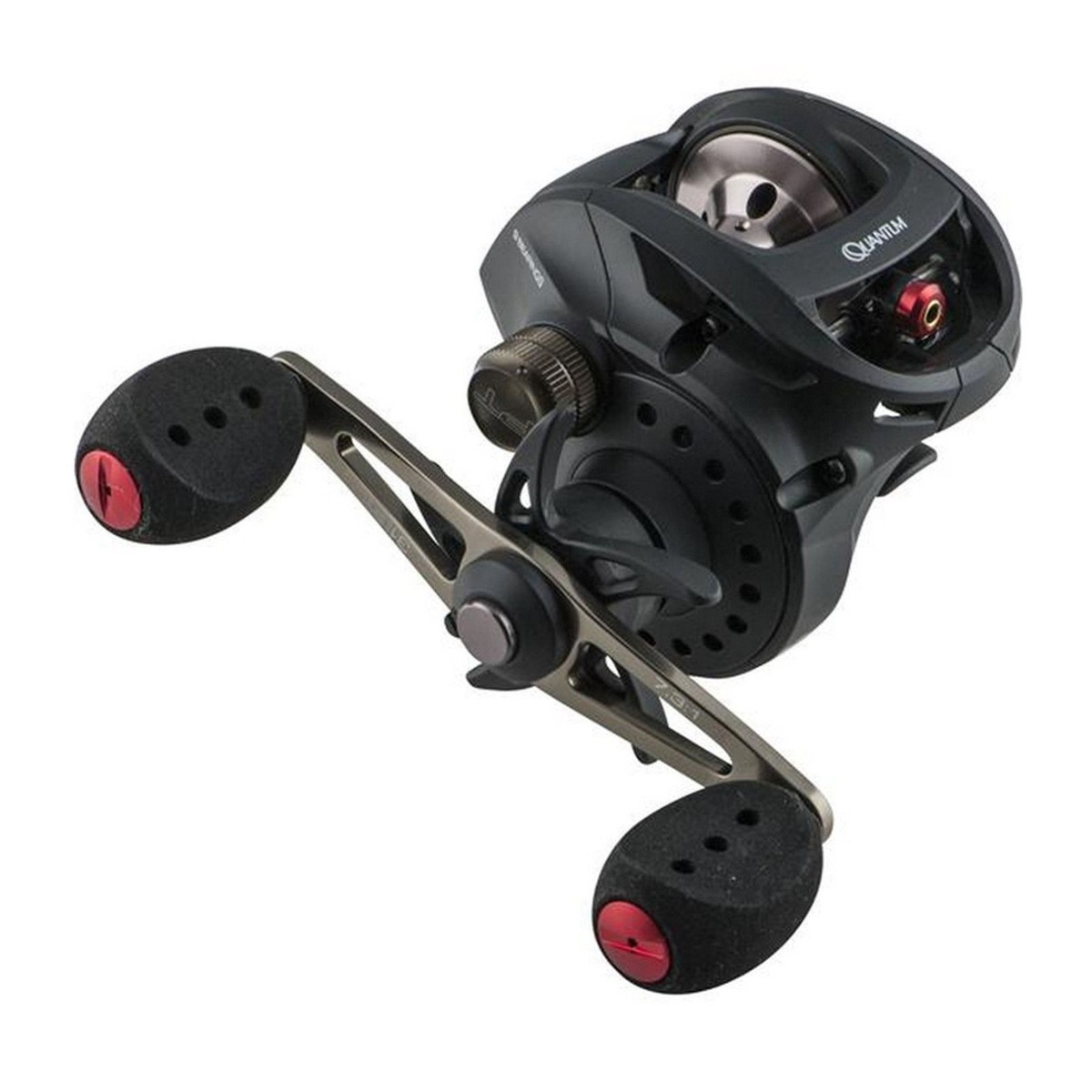 baitcast accurate reels Boss Extreme Two Speed Fishing Reel BX2-30 I Lobo Lures Choose the correct puck Casting Rods Variant:SX 6/4 Raptor Baitcaster Setup Reel Combo