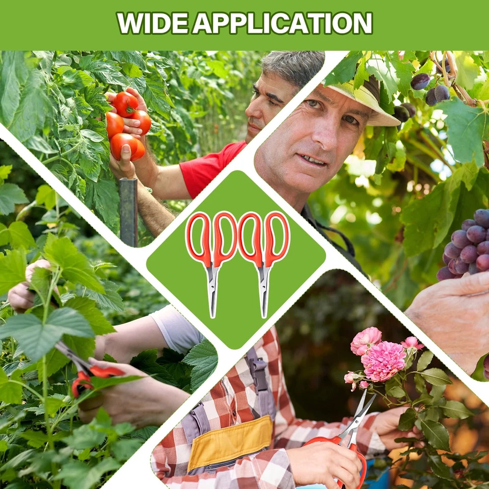 6 Pcs Trimming Scissors for Grapes 6.1" Stainless Steel Professional Grape Ca... - Image 4 of 4