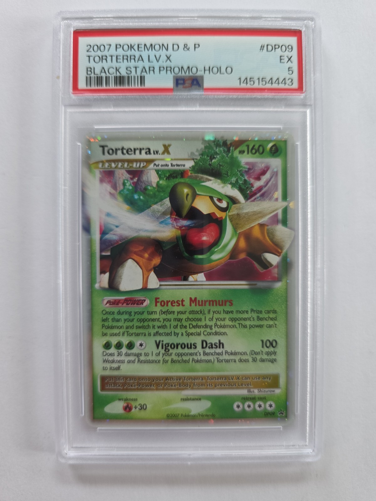 Torterra LV x DP09 Pokemon Promo Card Diamond and Pearl Holo