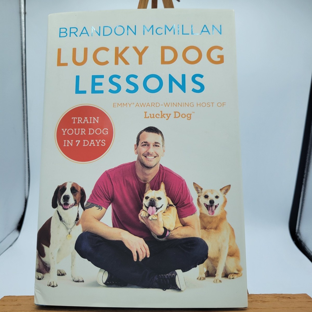 Lucky Dog Lessons From Renowned Expert Dog Trainer and Host
