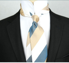 New Classic Striped Brown Blue White JACQUARD WOVEN 100 Silk Men's Necktie Tie